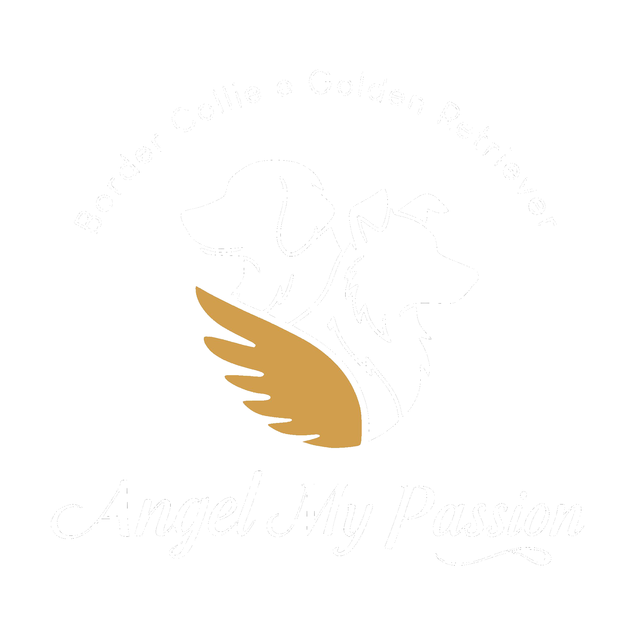 Angel my passion
